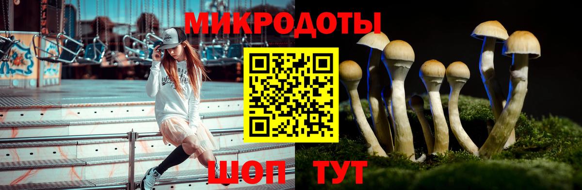 Псилоцибиновые грибы ЛСД Лениногорск